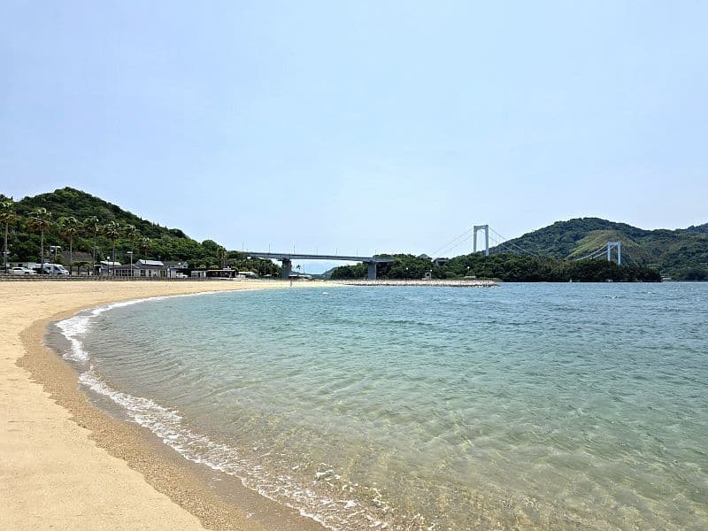 道の駅 マリン・オアシスはかた 全景