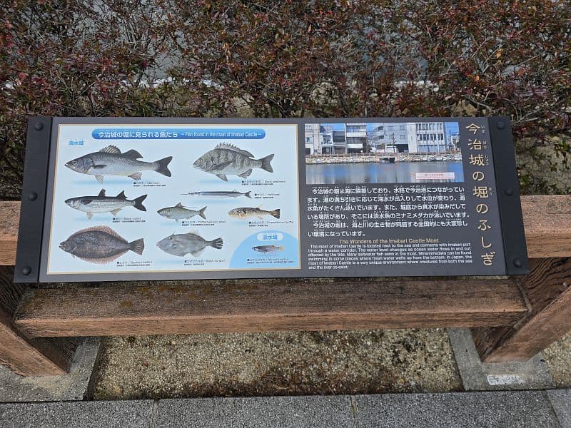 今治城の堀のふしぎ説明板