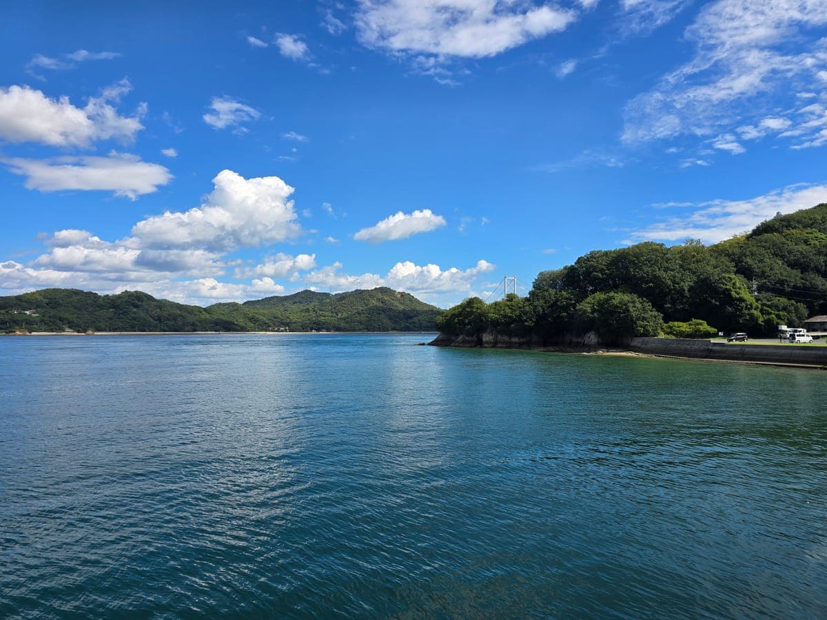 因島アメニティ公園の海岸から見た因島大橋（岬の先に主塔が見える）