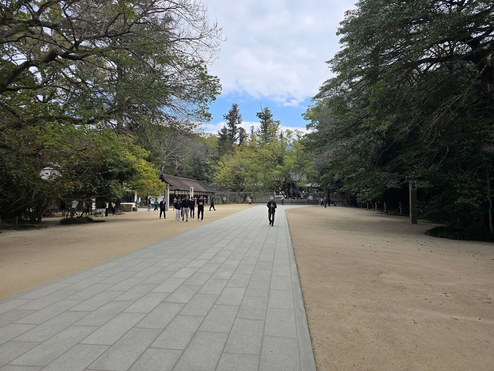 大山祇神社の境内・参道広場。砂利敷きの広い境内と楠の大木が並ぶ開放的な空間