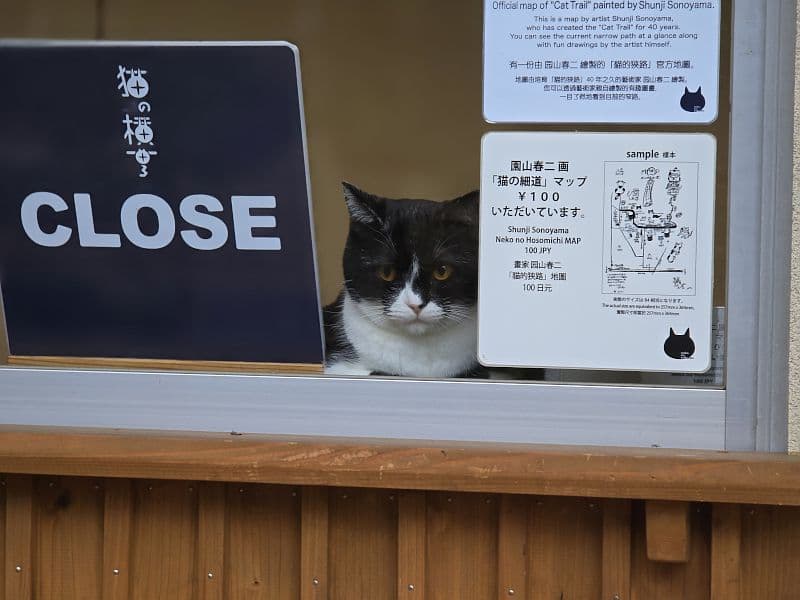 猫の細道