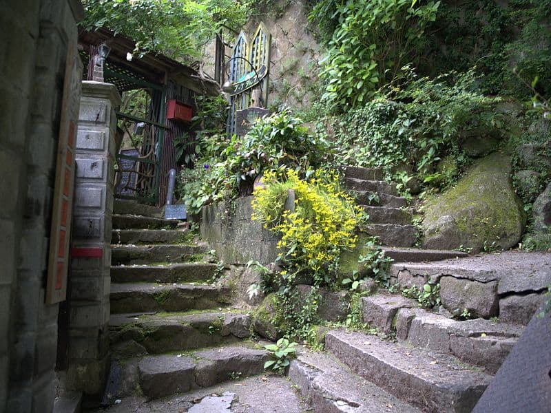 猫の細道の石段——夏の緑に囲まれた石畳の階段