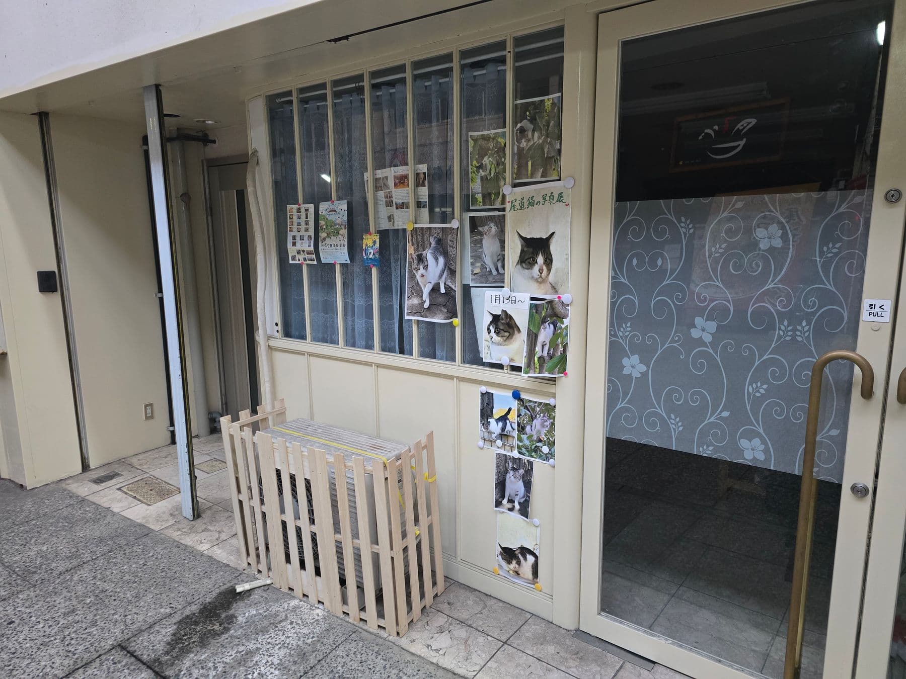 尾道本通り商店街の猫カフェ——商店街に店を構える猫カフェ