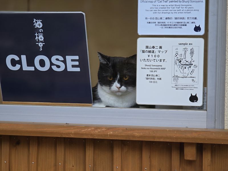 猫の細道
